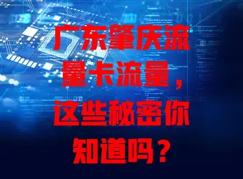 广东肇庆流量卡流量，这些秘密你知道吗？