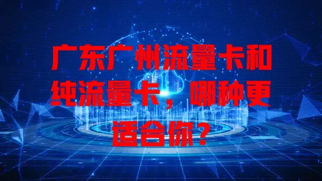 广东广州流量卡和纯流量卡，哪种更适合你？