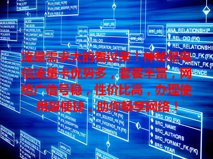 流量需求大的看过来！神秘星电信流量卡优势多，套餐丰富，网络广信号稳，性价比高，办理使用超便捷，助你畅享网络！