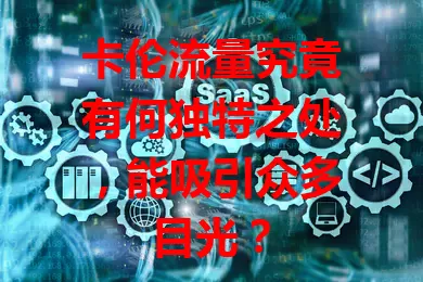 卡伦流量究竟有何独特之处，能吸引众多目光？