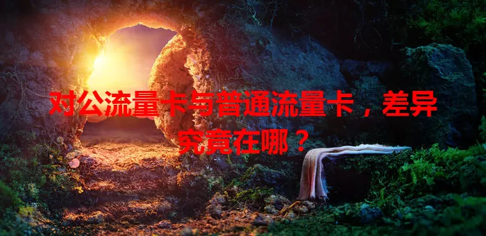 对公流量卡与普通流量卡，差异究竟在哪？