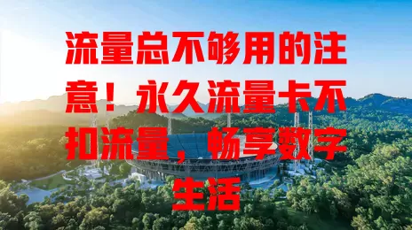 流量总不够用的注意！永久流量卡不扣流量，畅享数字生活