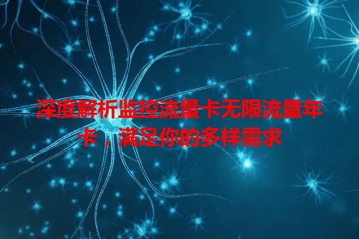 深度解析监控流量卡无限流量年卡，满足你的多样需求