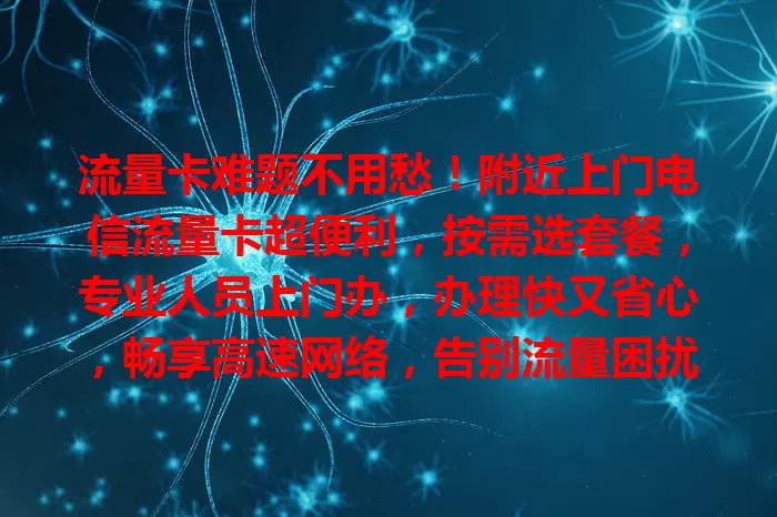 流量卡难题不用愁！附近上门电信流量卡超便利，按需选套餐，专业人员上门办，办理快又省心，畅享高速网络，告别流量困扰
