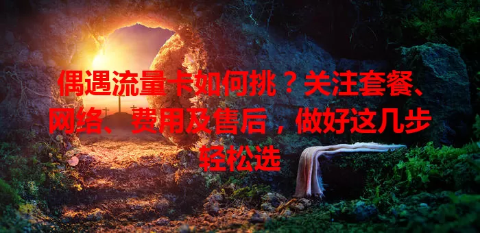 偶遇流量卡如何挑？关注套餐、网络、费用及售后，做好这几步轻松选