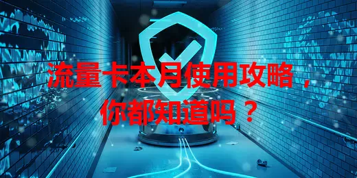 流量卡本月使用攻略，你都知道吗？