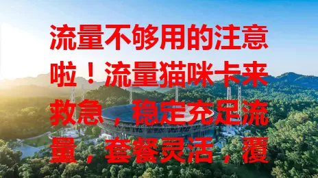 流量不够用的注意啦！流量猫咪卡来救急，稳定充足流量，套餐灵活，覆盖广，费用优，是流量需求者的得力助手