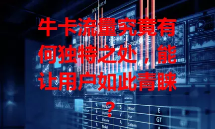 牛卡流量究竟有何独特之处，能让用户如此青睐？