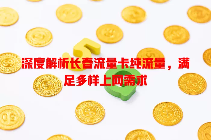 深度解析长春流量卡纯流量，满足多样上网需求