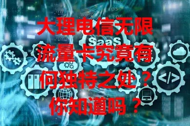 大理电信无限流量卡究竟有何独特之处？你知道吗？