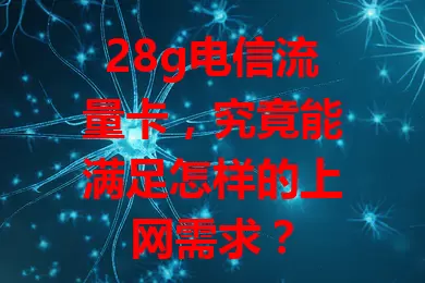 28g电信流量卡，究竟能满足怎样的上网需求？