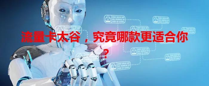 流量卡太谷，究竟哪款更适合你？