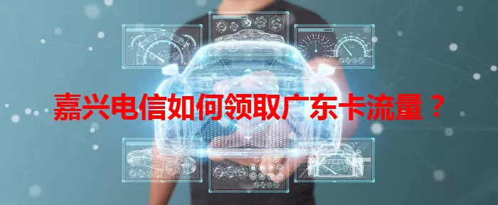 嘉兴电信如何领取广东卡流量？