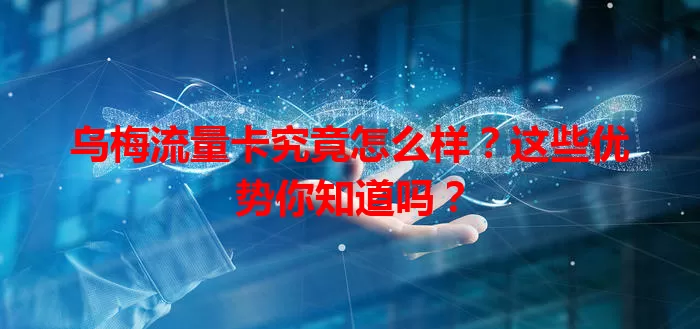 乌梅流量卡究竟怎么样？这些优势你知道吗？