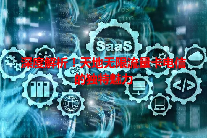 深度解析！天地无限流量卡电信的独特魅力