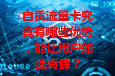 自贡流量卡究竟有哪些优势，能让用户如此青睐？