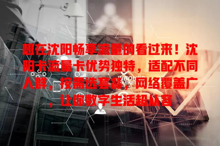 想在沈阳畅享流量的看过来！沈阳卡流量卡优势独特，适配不同人群，按需选套餐，网络覆盖广，让你数字生活超从容