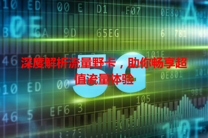 深度解析流量野卡，助你畅享超值流量体验