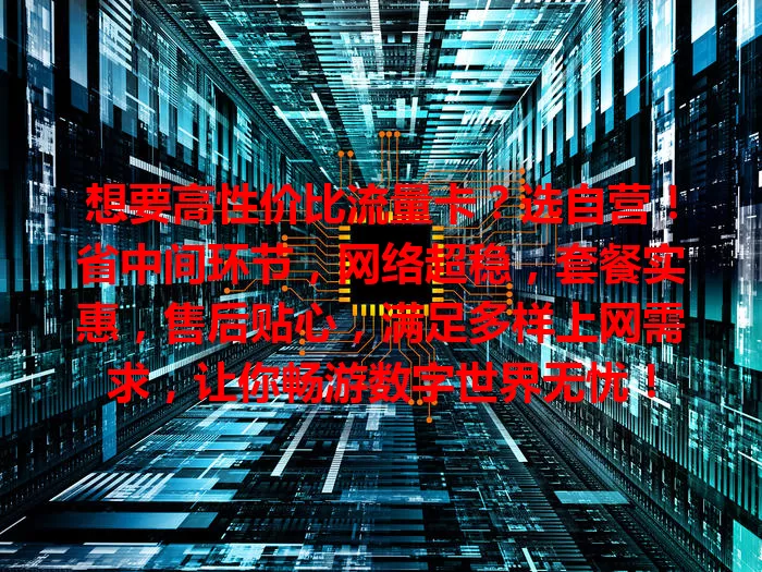 想要高性价比流量卡？选自营！省中间环节，网络超稳，套餐实惠，售后贴心，满足多样上网需求，让你畅游数字世界无忧！