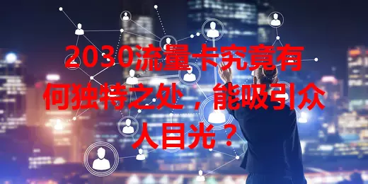 2030流量卡究竟有何独特之处，能吸引众人目光？