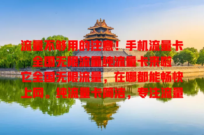 流量不够用的注意！手机流量卡全国无限流量纯流量卡来啦

它全国无限流量，在哪都能畅快上网。纯流量卡简洁，专注流量服务。有了它，看视频、视频通话、玩游戏都无忧，出差旅行也方便，告别流量烦恼，开启无限流量新时代 。