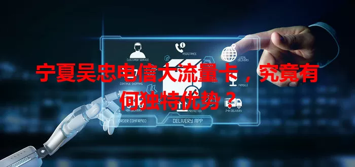 宁夏吴忠电信大流量卡，究竟有何独特优势？