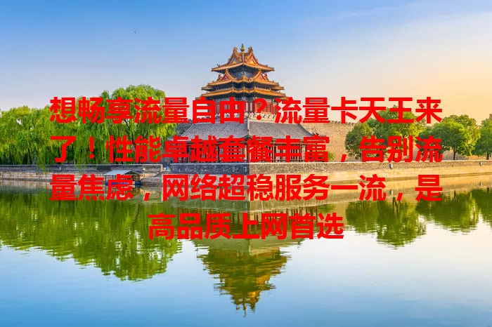想畅享流量自由？流量卡天王来了！性能卓越套餐丰富，告别流量焦虑，网络超稳服务一流，是高品质上网首选