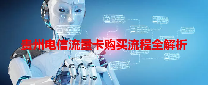 贵州电信流量卡购买流程全解析