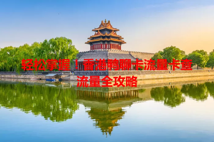 轻松掌握！香港鸭聊卡流量卡查流量全攻略