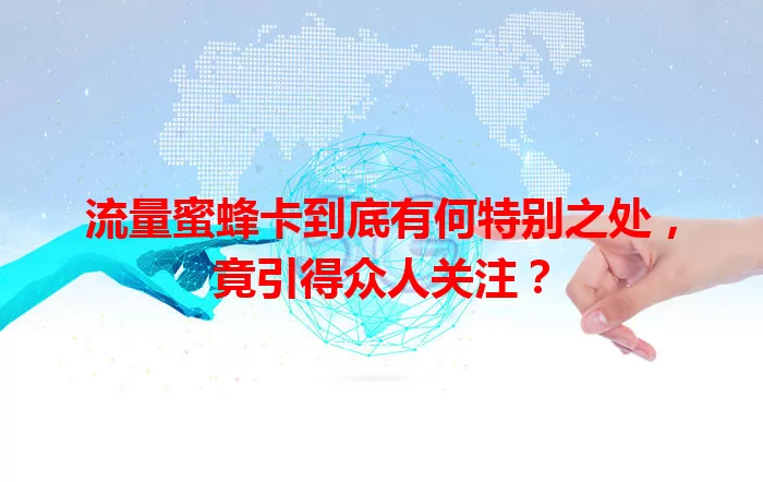 流量蜜蜂卡到底有何特别之处，竟引得众人关注？