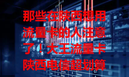 那些在陕西想用流量卡的人注意了！大王流量卡陕西电信超划算