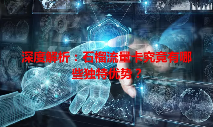 深度解析：石榴流量卡究竟有哪些独特优势？