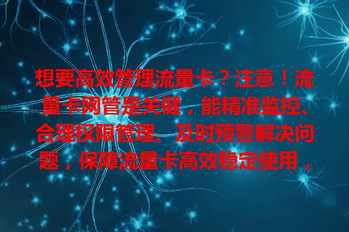 想要高效管理流量卡？注意！流量卡网管是关键，能精准监控、合理权限管理、及时预警解决问题，保障流量卡高效稳定使用，值得重视！
