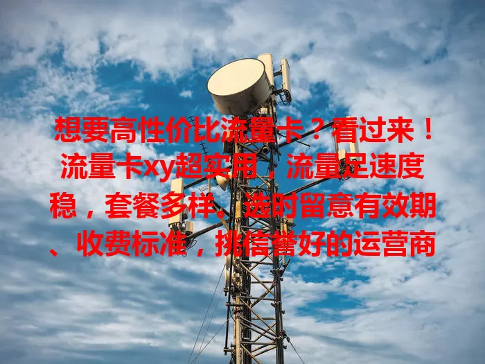 想要高性价比流量卡？看过来！流量卡xy超实用，流量足速度稳，套餐多样。选时留意有效期、收费标准，挑信誉好的运营商，让你网络畅游，尽享精彩服务！