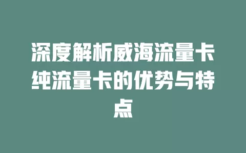 深度解析威海流量卡纯流量卡的优势与特点