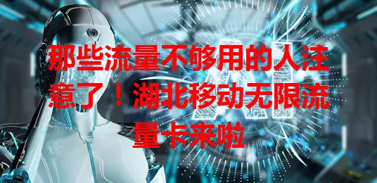 那些流量不够用的人注意了！湖北移动无限流量卡来啦