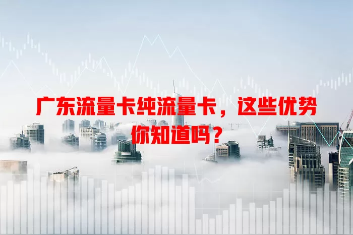 广东流量卡纯流量卡，这些优势你知道吗？