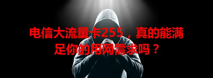 电信大流量卡255，真的能满足你的用网需求吗？