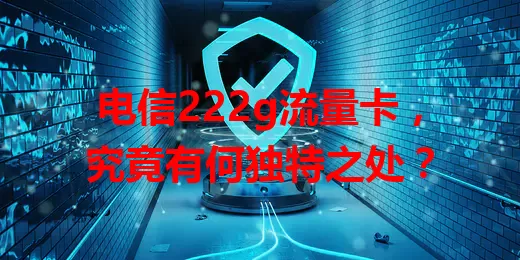 电信222g流量卡，究竟有何独特之处？