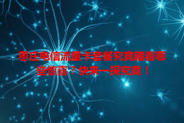 枣庄电信流量卡套餐究竟藏着哪些惊喜？快来一探究竟！