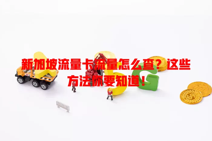 新加坡流量卡流量怎么查？这些方法你要知道！