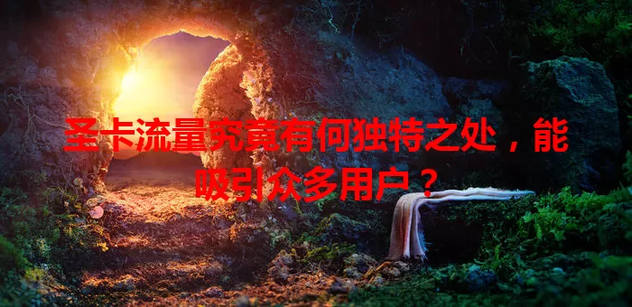 圣卡流量究竟有何独特之处，能吸引众多用户？