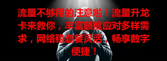 流量不够用的注意啦！流量升龙卡来救你，丰富额度应对多样需求，网络稳套餐灵活，畅享数字便捷！