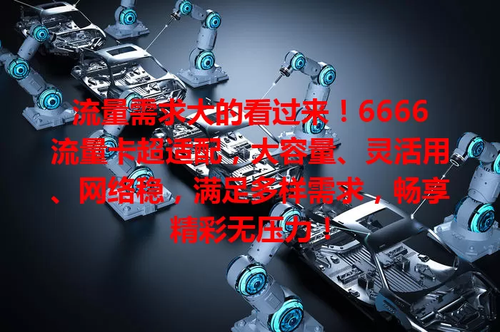 流量需求大的看过来！6666流量卡超适配，大容量、灵活用、网络稳，满足多样需求，畅享精彩无压力！