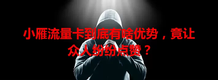 小雁流量卡到底有啥优势，竟让众人纷纷点赞？