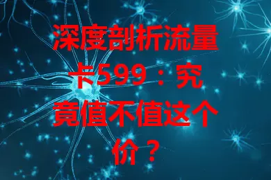 深度剖析流量卡599：究竟值不值这个价？