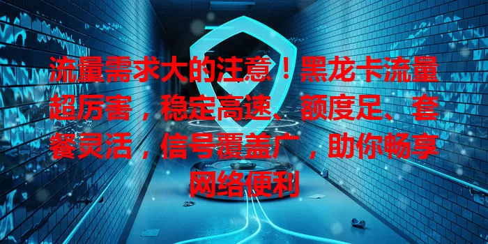 流量需求大的注意！黑龙卡流量超厉害，稳定高速、额度足、套餐灵活，信号覆盖广，助你畅享网络便利