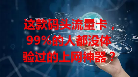 这款码头流量卡，99%的人都没体验过的上网神器？