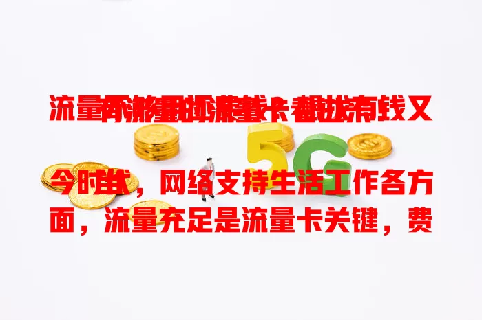 流量不够用还费钱？想找有钱又有流量的流量卡看过来！

当今时代，网络支持生活工作各方面，流量充足是流量卡关键，费用合理也很重要。选卡要多考量，关注流量额度、比较套餐价格、参考用户评价，找到适合自己的流量卡，开启畅快网络之旅！