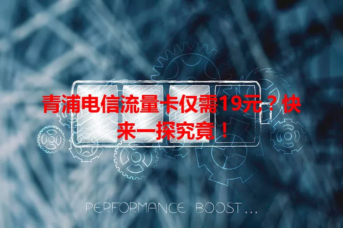 青浦电信流量卡仅需19元？快来一探究竟！
